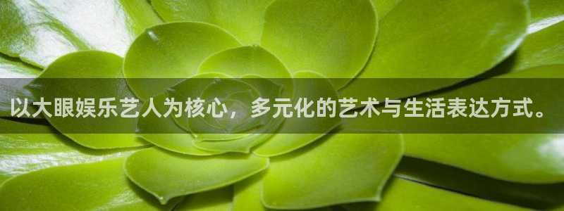 BB贝博艾弗森加拿大官网：以大眼娱乐艺人为核心，多元化的艺术与生活表达方式。