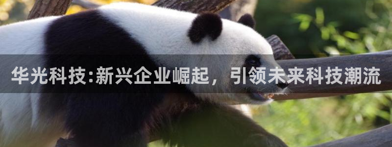 bb贝博艾弗森官方网站：华光科技:新兴企业崛起，引领未来科技潮流