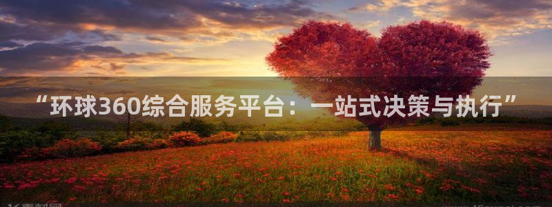 BB贝博艾弗森平台登录：“环球360综合服务平台：一站式决策与执行”