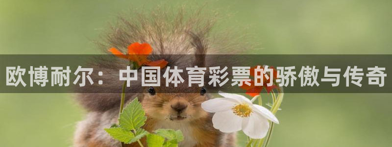 BB贝博艾弗森注册网站app：欧博耐尔：中国体育彩票的骄傲与传奇