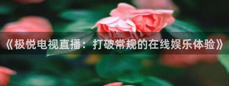 BB贝博艾弗森网站：《极悦电视直播：打破常规的在线娱乐体验》