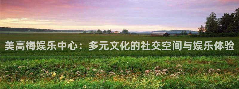 苹果版BB贝博艾弗森下载安装：美高梅娱乐中心：多元文化的社交空间与娱乐体验