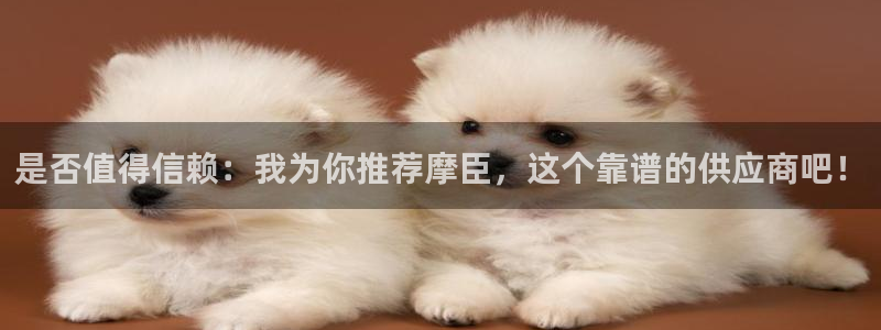 BB贝博艾弗森.ccmpc正版：是否值得信赖：我为你推荐摩臣，这个靠谱的供应商吧！