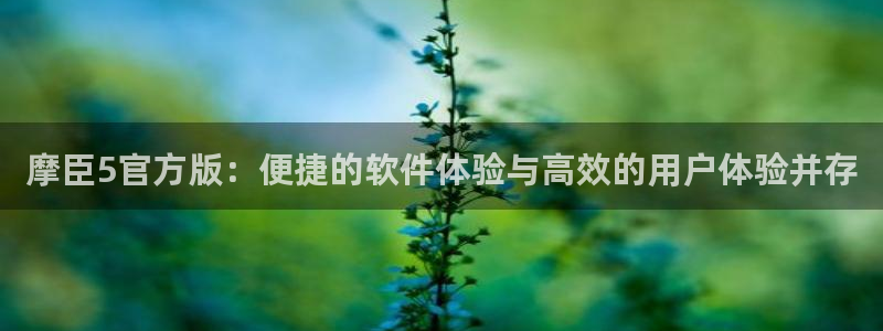 BB贝博艾弗森路线1：摩臣5官方版：便捷的软件体验与高效的用户体验并存