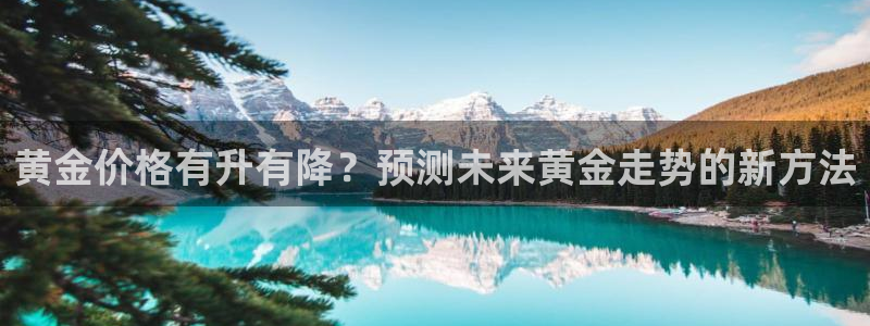 BB贝博艾弗森游戏试玩：黄金价格有升有降？预测未来黄金走势的新方法