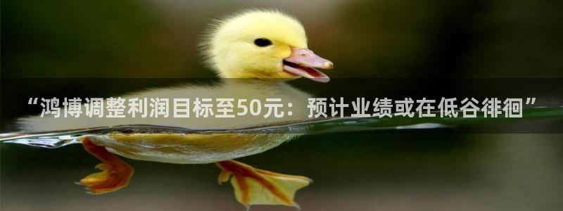 壹号电子娱乐app下载最新版本：“鸿博调整利润目标至50元：预计业绩或在低谷徘徊”
