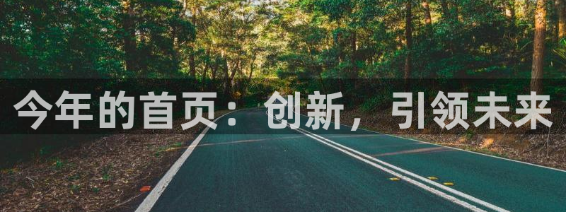 BB贝博艾弗森是大平台吗：今年的首页：创新，引领未来