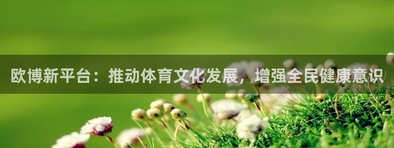 bb体育平台官网艾弗森：欧博新平台：推动体育文化发展，增强全民健康意识