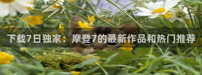 壹号大舞台娱乐传媒：下载7日独家：摩登7的最新作品和热门推荐