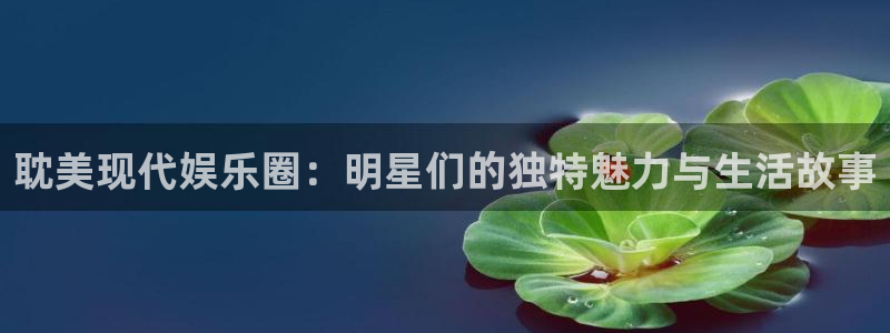BB贝博艾弗森注册入口与教程：耽美现代娱乐圈：明星们的独特魅力与生活故事