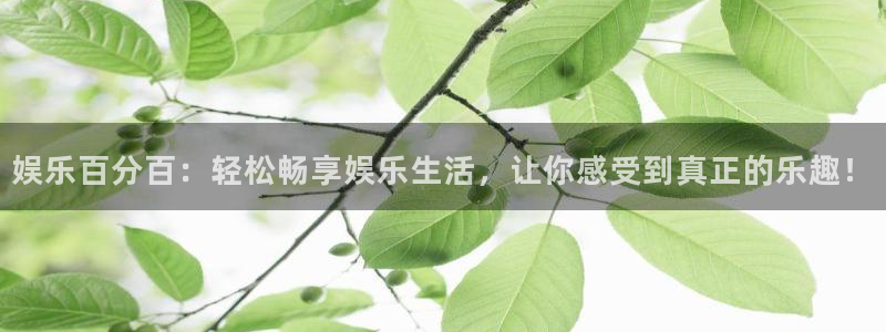 BB贝博艾弗森那个爆率高：娱乐百分百：轻松畅享娱乐生活，让你感受到真正的乐趣！