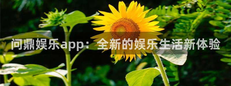 BB贝博艾弗森注册网站app：问鼎娱乐app：全新的娱乐生活新体验