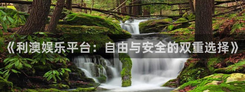 bb艾弗森体育官网：《利澳娱乐平台：自由与安全的双重选择》