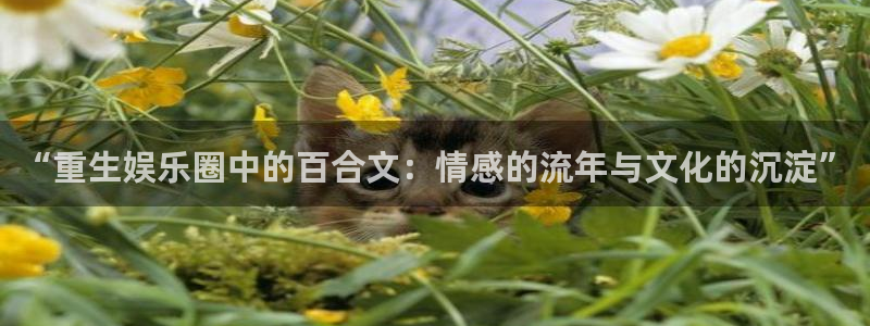 BB贝博艾弗森网页版登：“重生娱乐圈中的百合文：情感的流年与文化的沉淀”