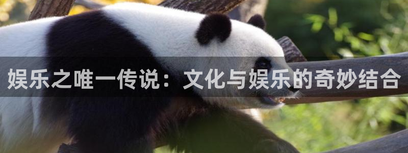 BB贝博艾弗森(com.youad.authst)：娱乐之唯一传说：文化与娱乐的奇妙结合