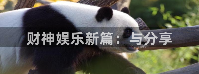 BB贝博艾弗森放水时间：财神娱乐新篇：与分享