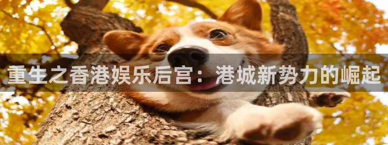 壹号大舞台怎么注册：重生之香港娱乐后宫：港城新势力的崛起