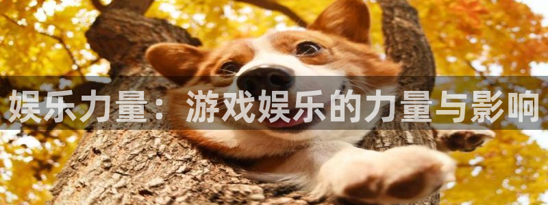 BB贝博艾弗森注册入口与教程：娱乐力量：游戏娱乐的力量与影响