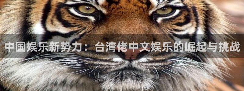 BB贝博艾弗森官方网站下载：中国娱乐新势力：台湾佬中文娱乐的崛起与挑战