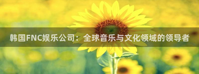 BB贝博艾弗森加拿大下载：韩国FNC娱乐公司：全球音乐与文化领域的领导者