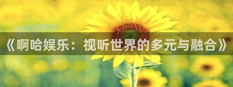 BB贝博艾弗森加拿大在线预测：《啊哈娱乐：视听世界的多元与融合》