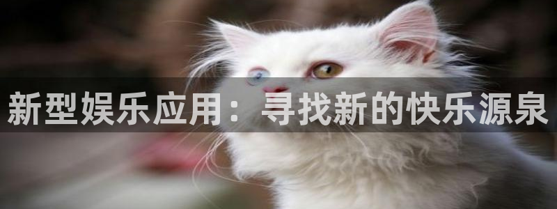 BB贝博艾弗森-ng大舞台,有梦你就来：新型娱乐应用：寻找新的快乐源泉