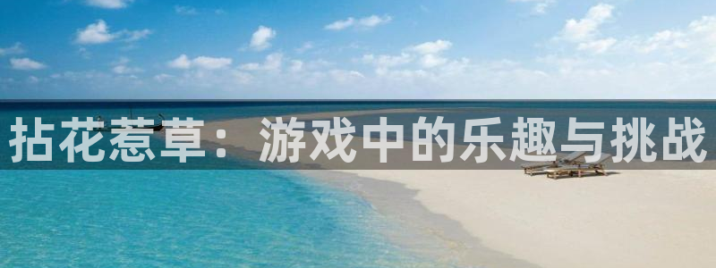 bb贝博艾弗森2：拈花惹草：游戏中的乐趣与挑战