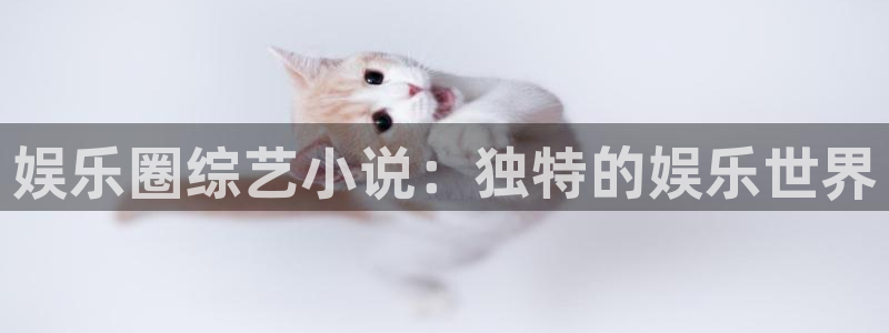壹号平台下载安装官网：娱乐圈综艺小说：独特的娱乐世界