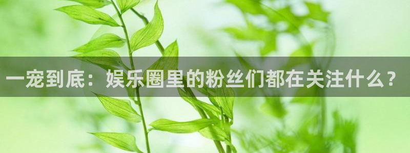 BB贝博艾弗森下载官网入口在哪：一宠到底：娱乐圈里的粉丝们都在关注什么？