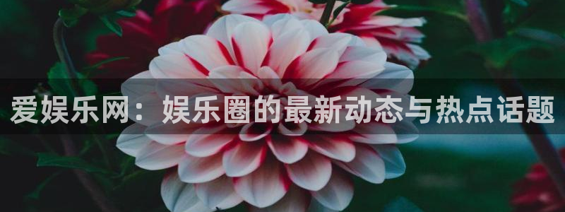 BB贝博艾弗森网站：爱娱乐网：娱乐圈的最新动态与热点话题
