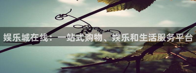 壹号下载安装：娱乐城在线：一站式购物、娱乐和生活服务平台
