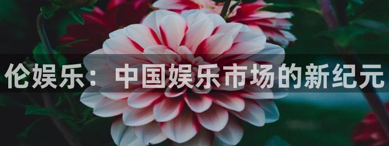 BB贝博艾弗森.ccmpc正版：伦娱乐：中国娱乐市场的新纪元