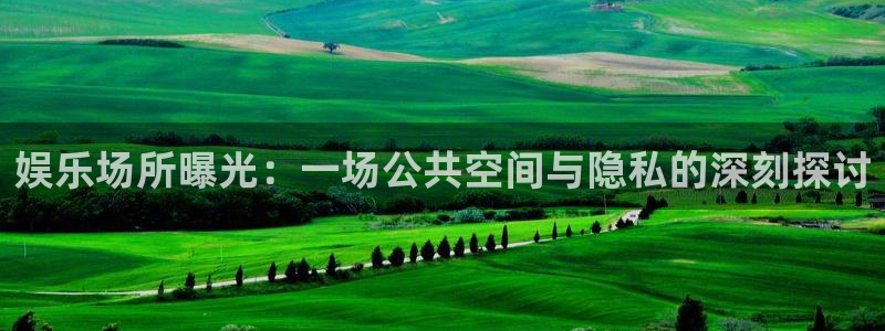 壹号电子娱乐app下载最新版本安装：娱乐场所曝光：一场公共空间与隐私的深刻探讨