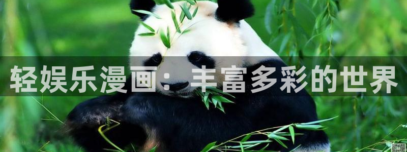 bbt贝博·(bellbet)艾弗森官网：轻娱乐漫画：丰富多彩的世界