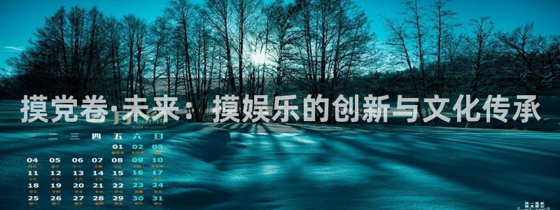 贝博bb艾弗森官网：摸党卷·未来：摸娱乐的创新与文化传承