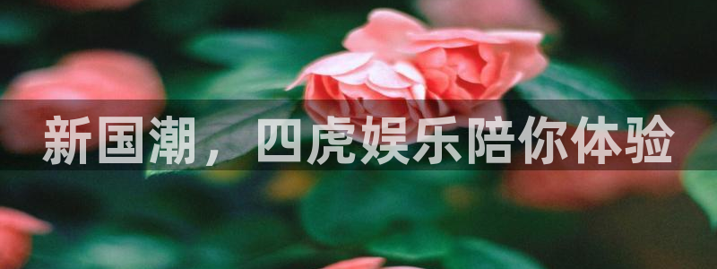 BB贝博艾弗森娱乐：新国潮，四虎娱乐陪你体验