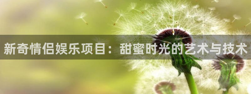 BB贝博艾弗森加拿大下载：新奇情侣娱乐项目：甜蜜时光的艺术与技术