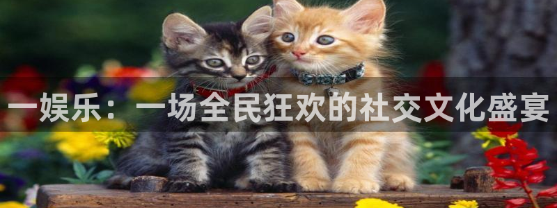 BB贝博艾弗森ccmpc：一娱乐：一场全民狂欢的社交文化盛宴