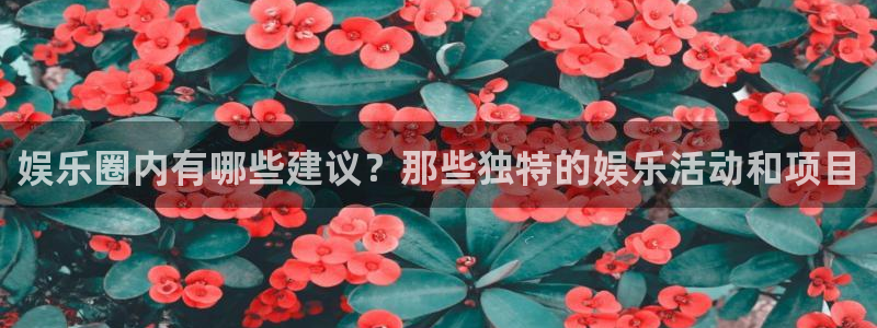 BB贝博艾弗森app新版上线体验.游戏更新入口.中国：娱乐圈内有哪些建议？那些独特的娱乐活动和项目