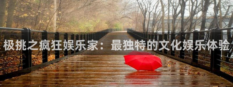 BB贝博艾弗森app下载安装