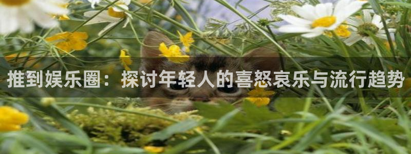 壹号下载官网入口：推到娱乐圈：探讨年轻人的喜怒哀乐与流行趋势