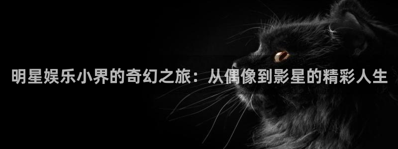 BB贝博艾弗森平台官网入口：明星娱乐小界的奇幻之旅：从偶像到影星的精彩人生