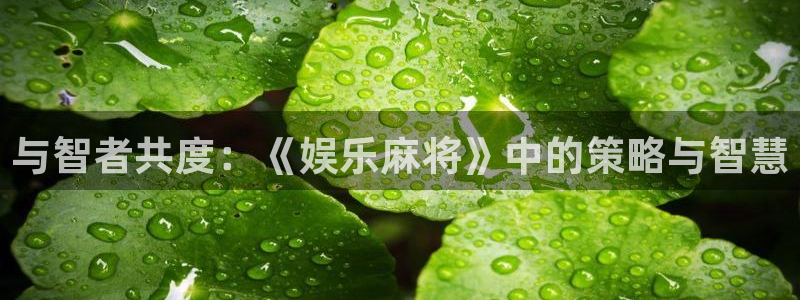 BB贝博艾弗森平台app下载安装：与智者共度：《娱乐麻将》中的策略与智慧