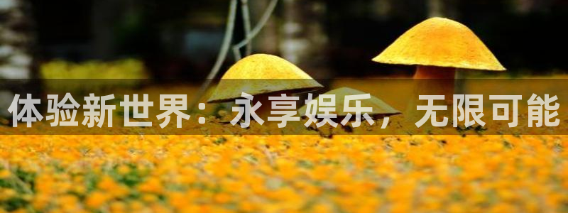 BB贝博艾弗森苹果手机下载链接：体验新世界：永享娱乐，无限可能