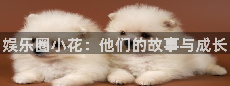 BB贝博艾弗森下载入口：娱乐圈小花：他们的故事与成长